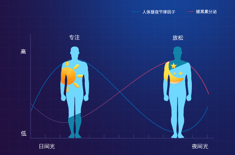 莱炽健康节律照明：守护你的生物钟
